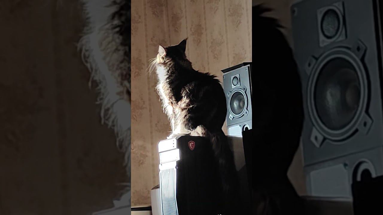 10 февраля 2024 г. смотреть онлайн