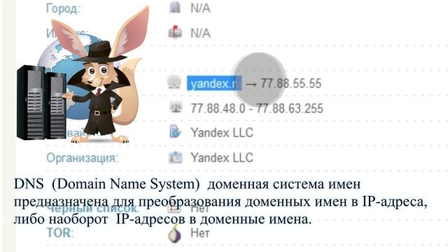 Как узнать доменное имя сайта по IP-адресу смотреть онлайн