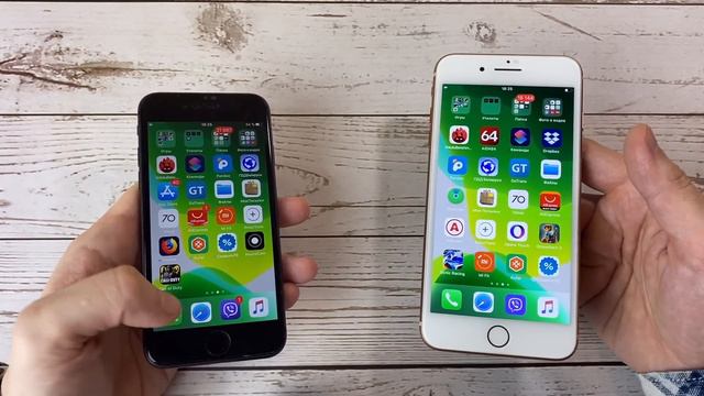 Разнообразие и увлекательность для всех