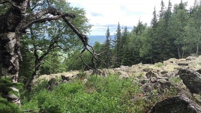 АСМР ПОХОД на ТАГАНАЙ ⛺ Вся красота гор и шепот || ASMR Travel & Whisper смотреть онлайн