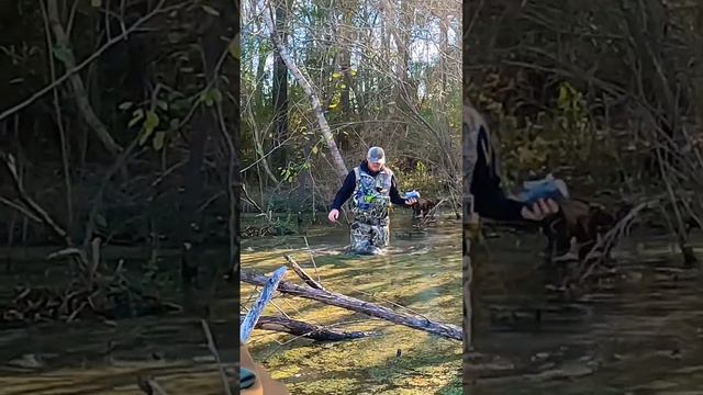 Tidewe waders Code: FLL18 #tidewe смотреть онлайн