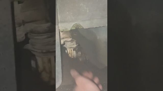 Ford Fiesta 5 Durashift EST ib5. Ошибка "неисправность КПП" или как добраться до сервиса смотреть онлайн