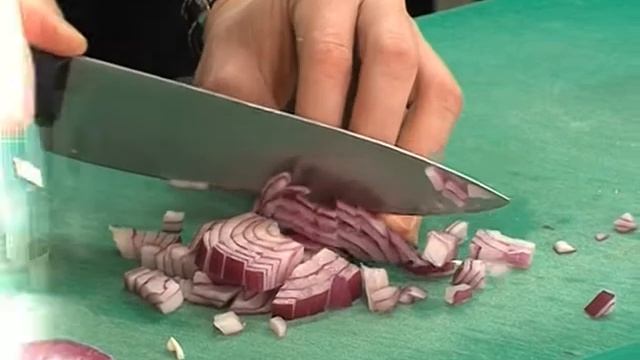 Животные в Зоопарках