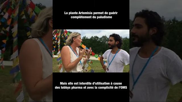 Interview Lucile Cornet-Vernet par Comunidée смотреть онлайн
