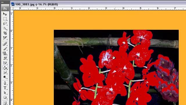 How Too Use Paint Bucket Tool In Photoshop CS3 смотреть онлайн