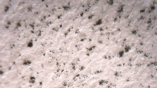 Такой бумагу я ещё не видел! Что скрывает микроскоп? Бумага под микроскопом. смотреть онлайн