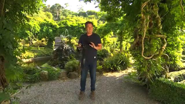 The Garden Gurus - Bantry Bay Gardens смотреть онлайн