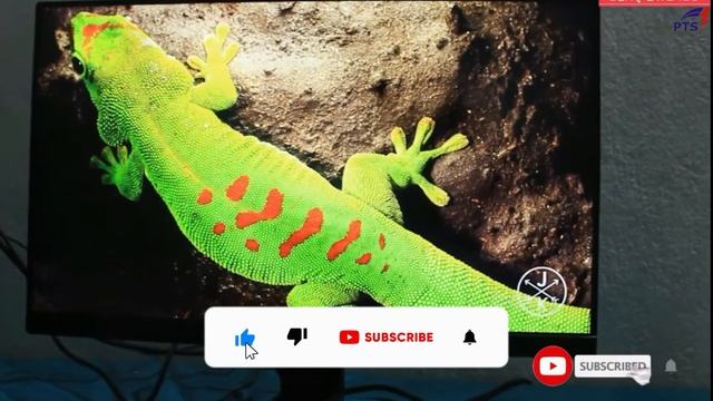 Top 5 best monitor under 10000 | best gaming monitor under 10000 смотреть онлайн