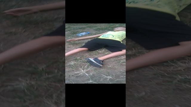 Грибам шейк