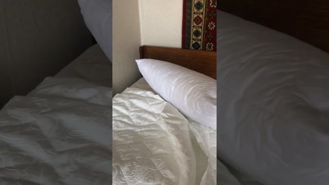 Отзыв о матрасе DreamLine DreamRoll Latex 120*190, чехле DreamLine Жаккард Cotton и магазине «Анато