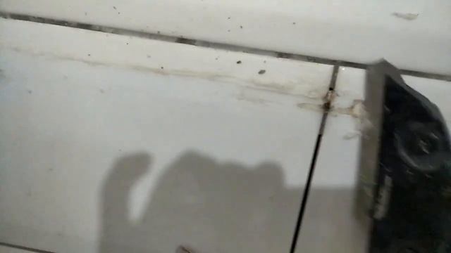 Чем быстро снять селикон с кафеля смотреть онлайн