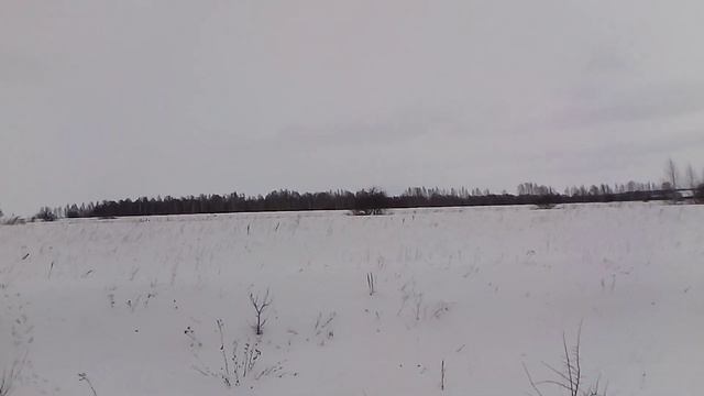 работа по зайцу русаку смотреть онлайн