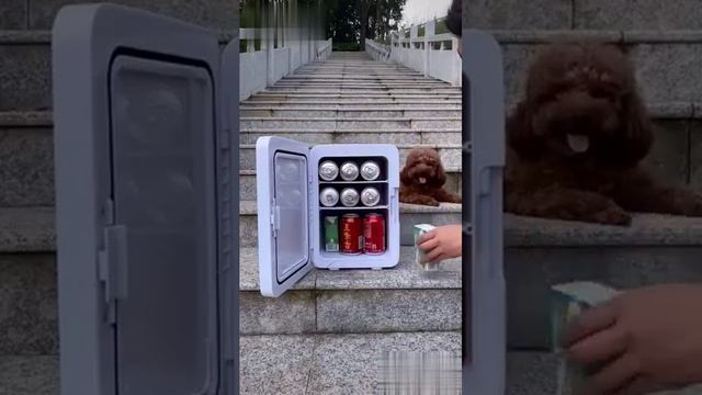 небольшой холодильник в авто смотреть онлайн