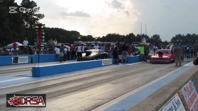 PYTHON VS BLACK BEAR смотреть онлайн