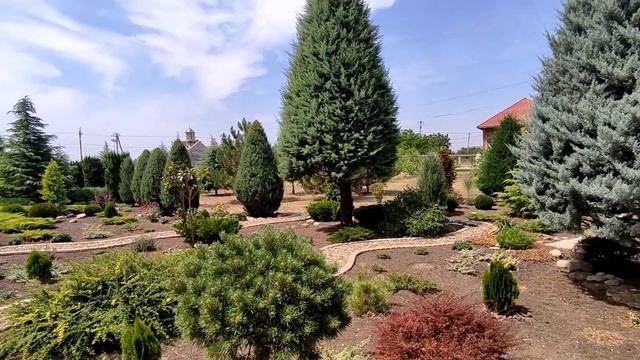 31.07.2022 Проповедь, Литургия и освящение креста смотреть онлайн