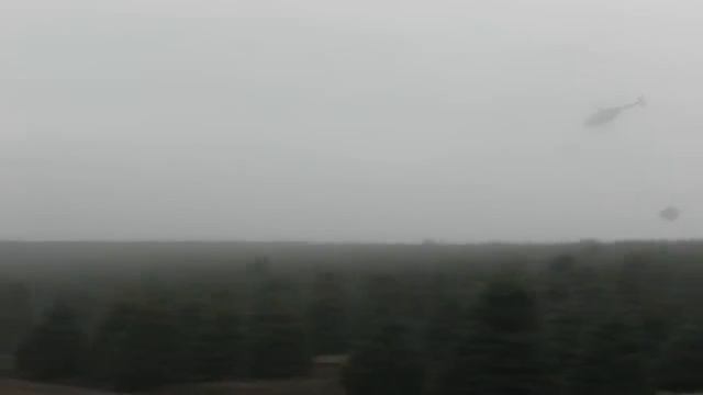 Oregon Christmas Tree Harvest With Helicopter. Amazing Pilot! смотреть онлайн