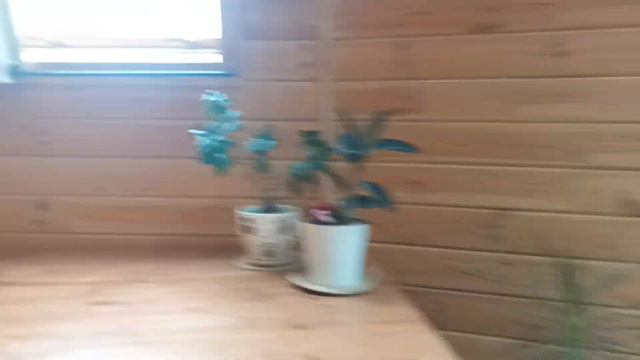 Купольный дом Добросфера Z12, год спустя. смотреть онлайн