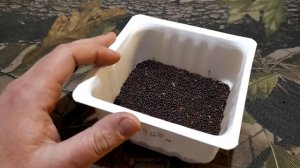 Рапс для рыбалки. Ароматизатор для карася, карпа и леща.