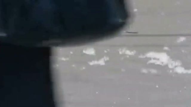 Pukh in Moscow. Summer Vlog No 3. Summer Snow. Popular Trees. смотреть онлайн