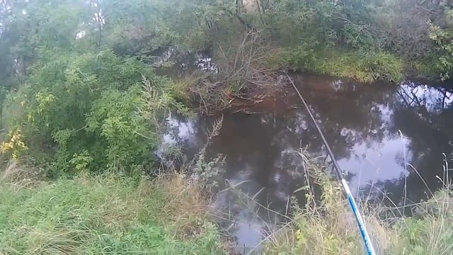 [ Хроники Рыбака -любителя ] Ловля рыбы на кузнечика на микро -речке. смотреть онлайн