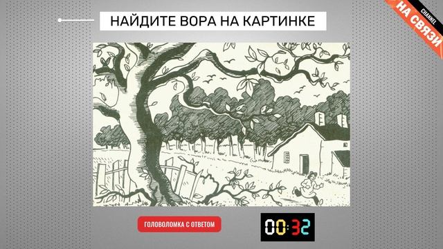 Головоломка с ответом: найдите вора на картинке смотреть онлайн