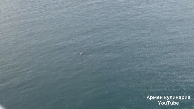 Мы в гостях у Любы Ким. @Кулинария Любовь Ким @Шиндр Мындр