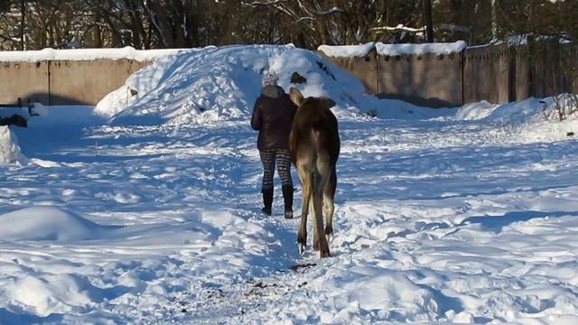 Движение это жизнь смотреть онлайн