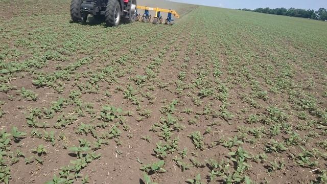 #YTO_X1204 с культиватором КПК 5.6 с защитой смотреть онлайн