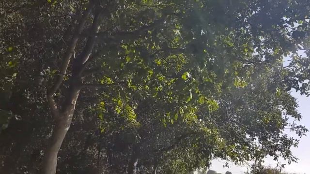 Ко Хаусы в Бельгии Новый стиль жизни!  | Что такое Co House Cohousing ? Продолжение рассказа.