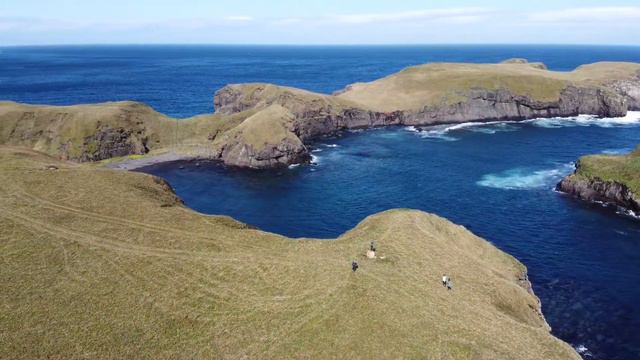 м. Краб смотреть онлайн