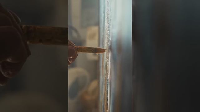 Зачем в Средневековье сбривали брови #Shorts смотреть онлайн