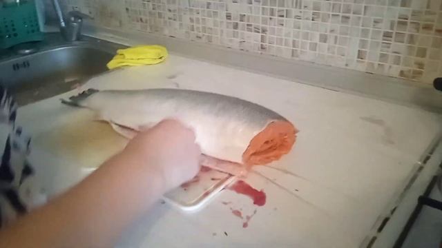 Легко разделываем лосось весом 3кг смотреть онлайн