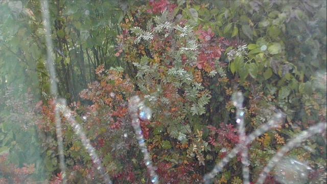 Иеромонах Роман. «В келии лампаду затеплю́» смотреть онлайн