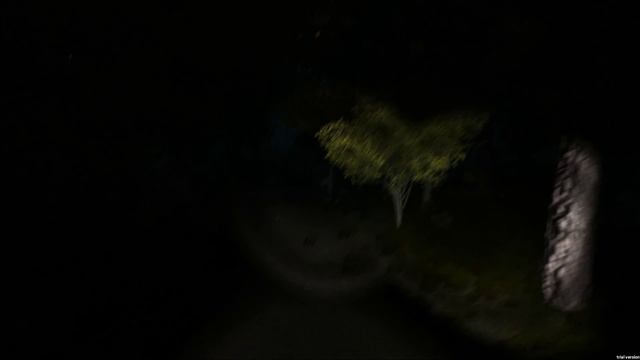 Survivors Viy #1 - Выживаем с Вием ! смотреть онлайн