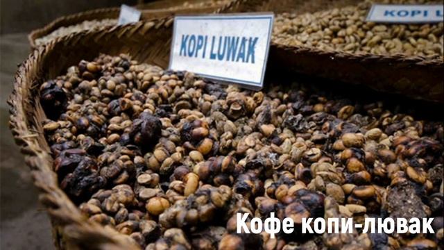 ТОП 10 Самые Дорогие БЛЮДА и НАПИТКИ в МИРЕ смотреть онлайн