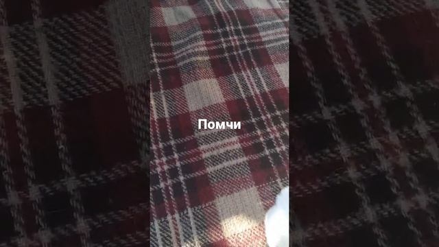 У нашей Чучи щенки ПОМЧИ смотреть онлайн