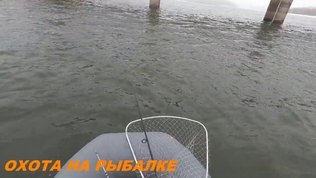 ОТКРЫТИЕ ВОДОМОТОРНОГО СЕЗОНА 2020 РЫБАЛКА С ЛОДКИ ПВХ 2 ЯНВАРЯ смотреть онлайн