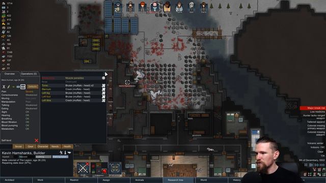 Let's Play Rimworld Alpha 17 #35 Blessing in Disguise смотреть онлайн