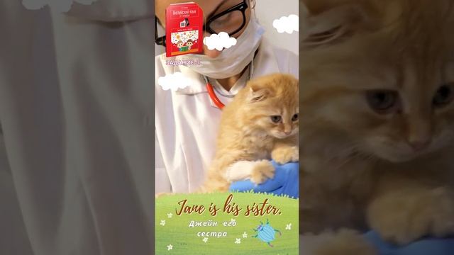 Задание к учебному пособию Ганчар Н.П. Английский язык. 3-4 классы. Читаем легко и весело. J4 #англ