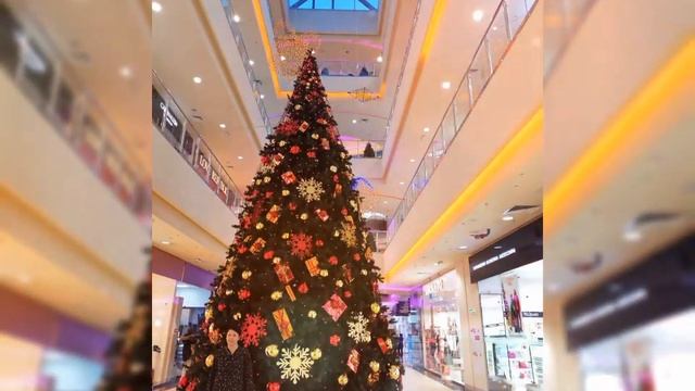 27 декабря 2021 г.