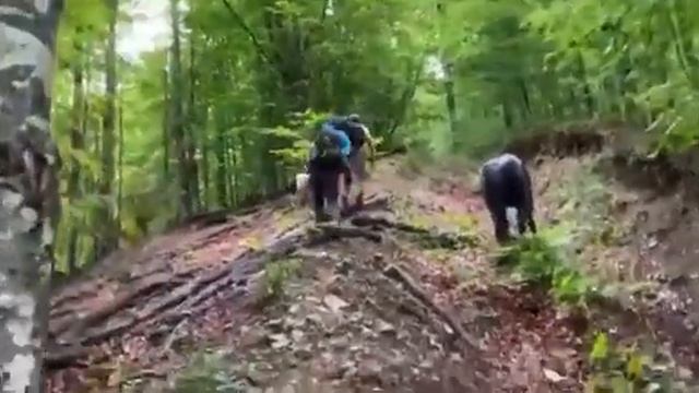 как в Закарпатье отдыхают. смотреть онлайн