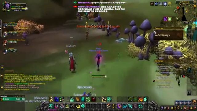 CURIA CON MI PALADINA - WORLD OF WARCRAFT смотреть онлайн