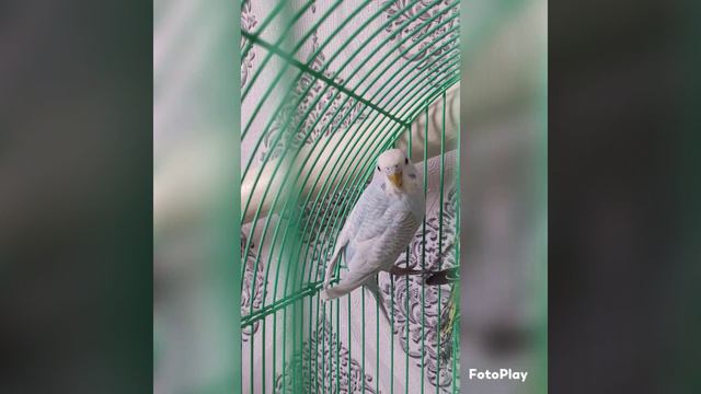 21 апреля 2023 г. смотреть онлайн