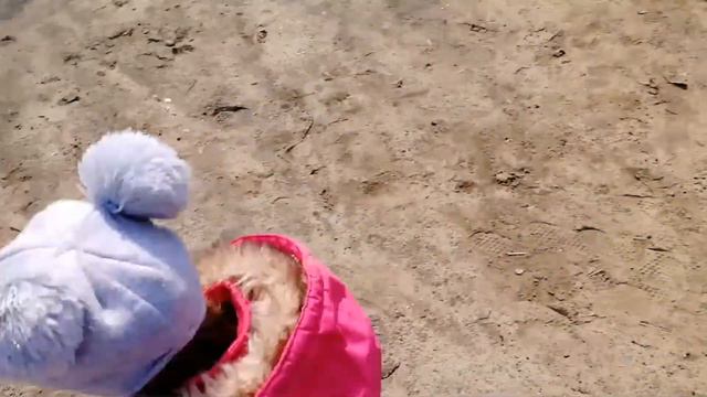 Готовлю запеканку. Гуляем по городу. Кропоткин. смотреть онлайн