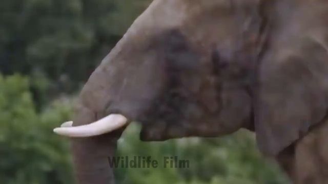 New Method! How to Download Photoshop Beta for FREE! | Generative Fill смотреть онлайн