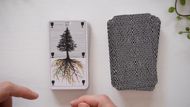 Review Tarot The Wild Unknown Pocket | Reseña en Español смотреть онлайн