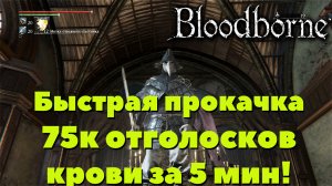 Bloodborne - БЫСТРАЯ ПРОКАЧКА! 75000 ОТГОЛОСКОВ КРОВИ за 5 МИНУТ!!!