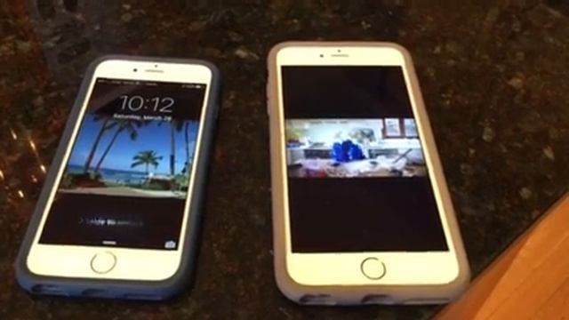 Friends iPhone 6s answers to Cookie Monster смотреть онлайн