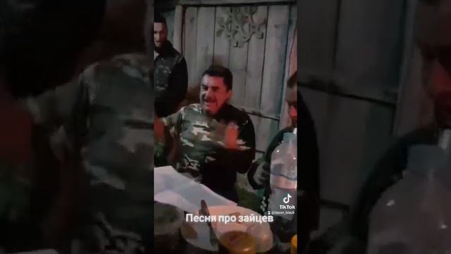 Песня про зайцев смотреть онлайн