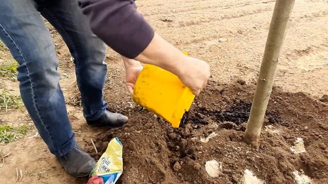 Уход за садовыми деревьями смотреть онлайн